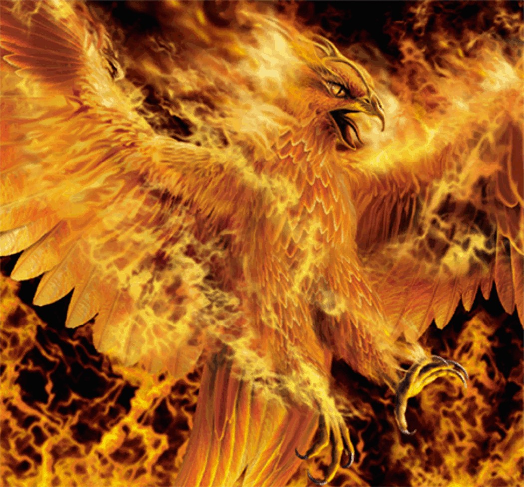 phoenix